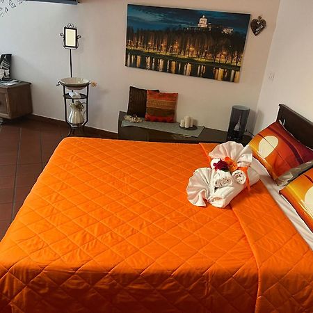 Historic Center Via Po Apartment Torino Kültér fotó